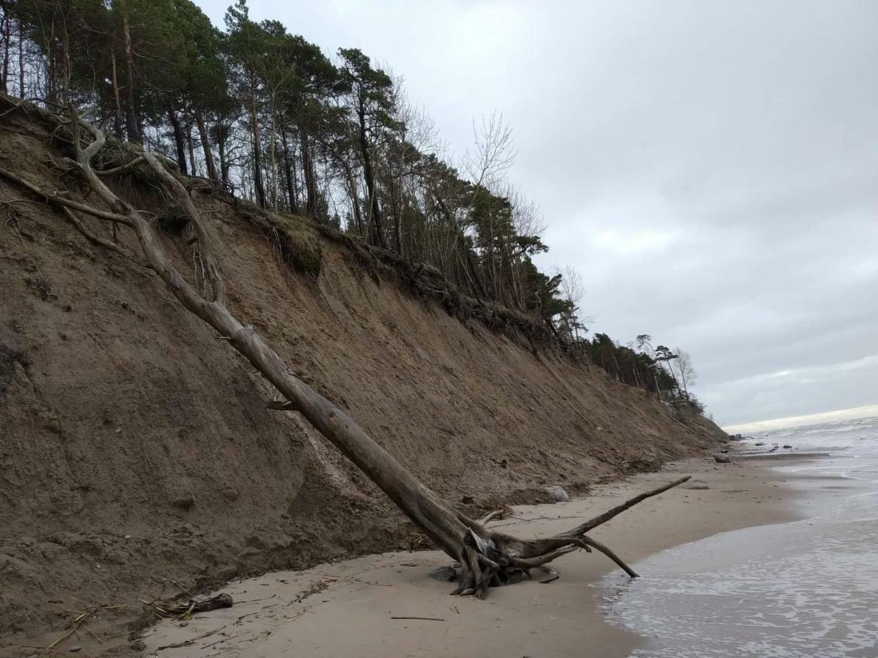 Apartmán Yzzi Palanga Exteriér fotografie